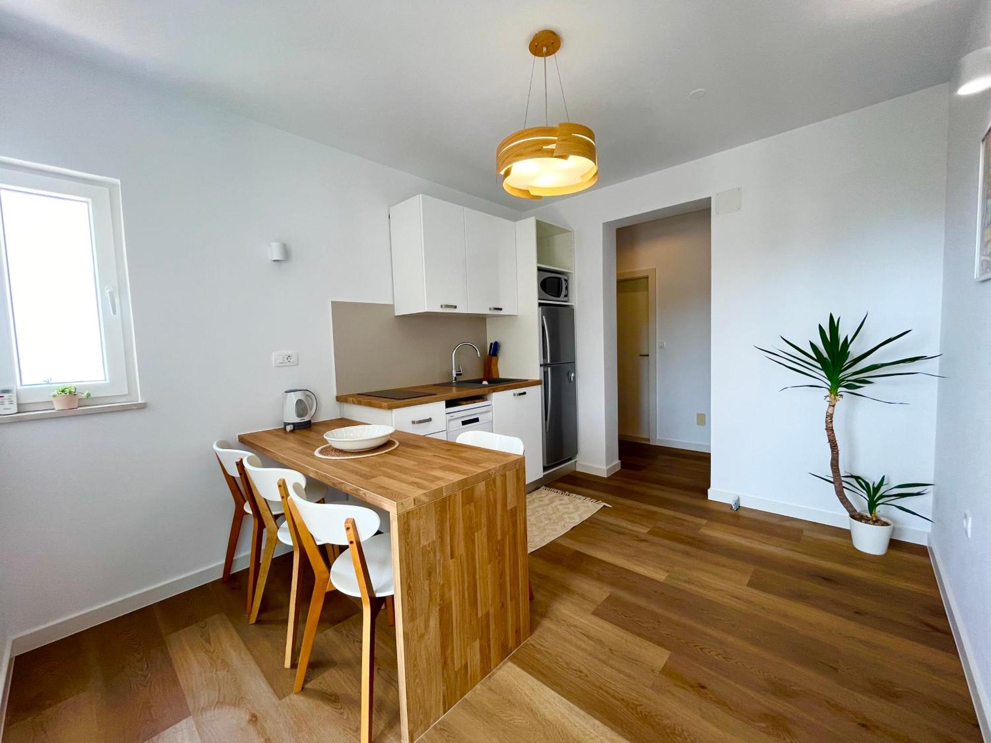 Apartment Gabriela Drasnice